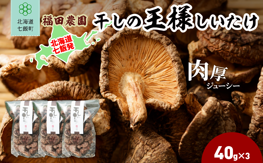 干しの王様しいたけ 40ｇ×3袋 NAT008