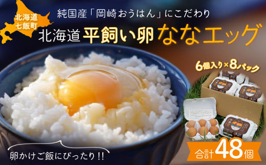 北海道七飯町産 平飼い卵「ななエッグ」6個入り8パックセット(合計48個) NAAO002