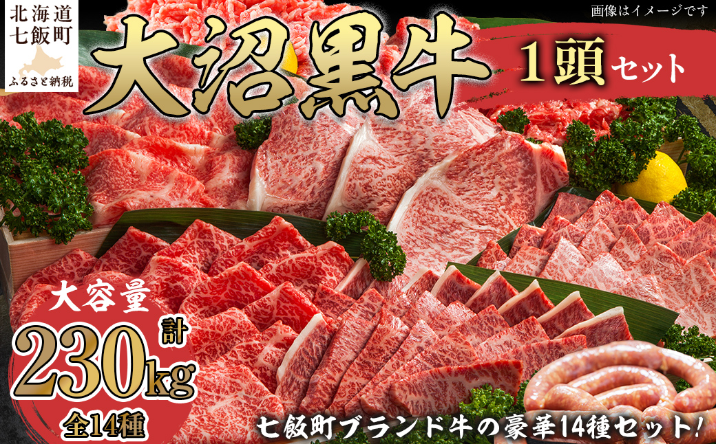 大沼黒牛　1頭 【ふるさと納税 人気 おすすめ ランキング 北海道ブランド牛 大沼黒牛 黒毛和牛 冷凍 ステーキ すき焼き しゃぶしゃぶ 牛丼 焼肉 挽肉 おいしい 北海道 七飯町】 NAM009