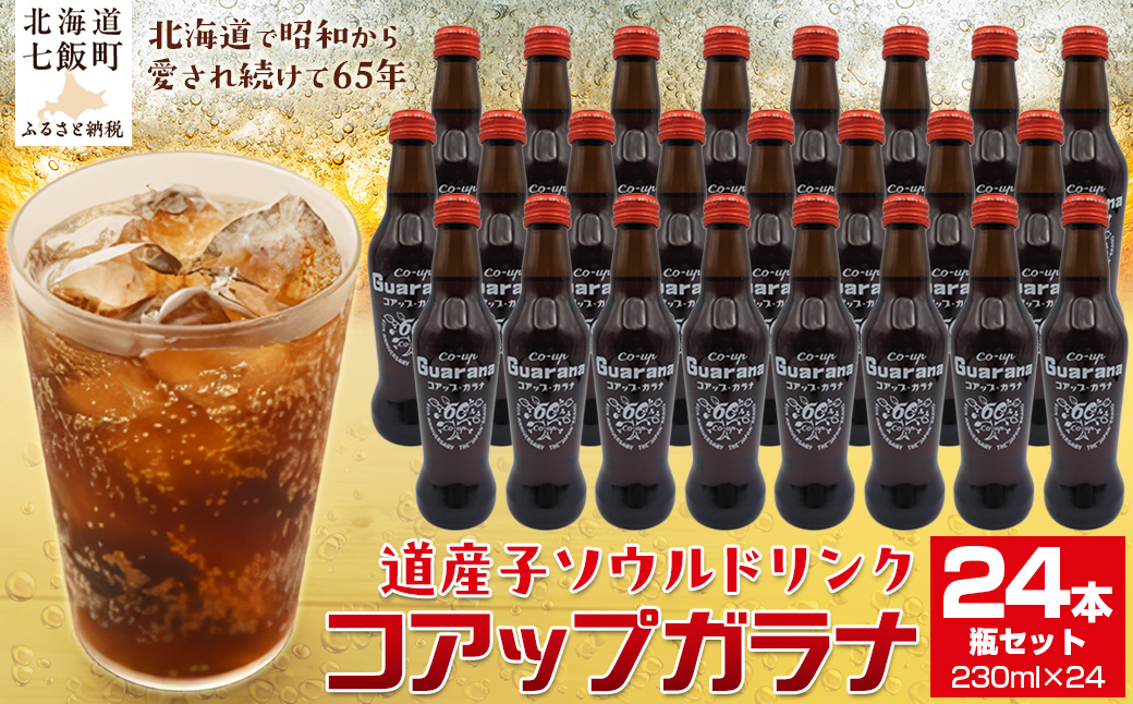 繧ウ繧「繝繝励ぎ繝ゥ繝24譛ャ繧サ繝繝茨シ230ml逑カシ NAQ004