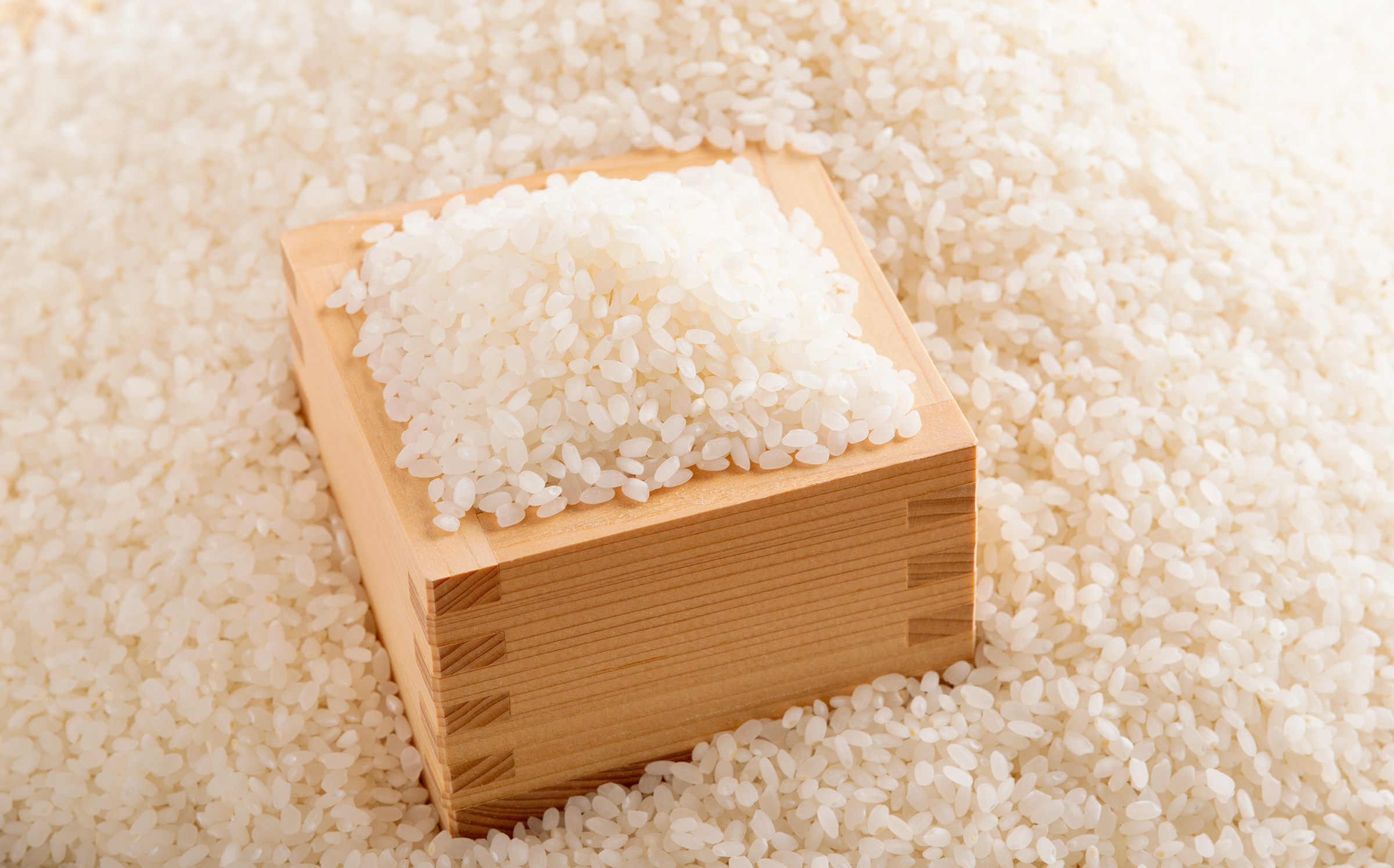  令和7年産 ゆめぴりか5kg  NAZ014