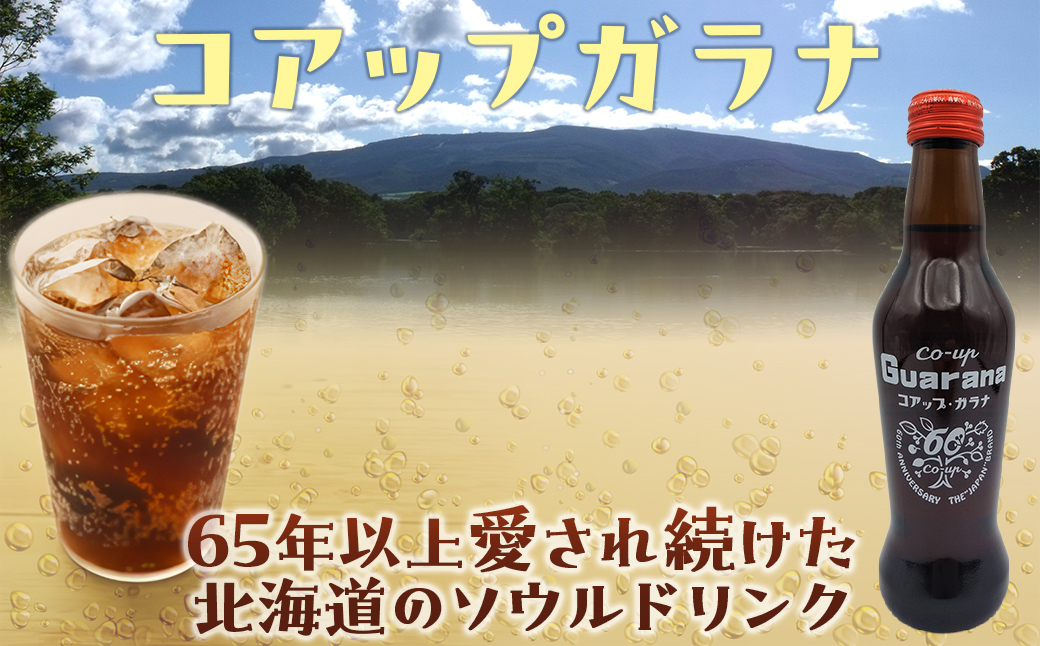 繧ウ繧「繝繝励ぎ繝ゥ繝24譛ャ繧サ繝繝茨シ230ml逑カシ NAQ004