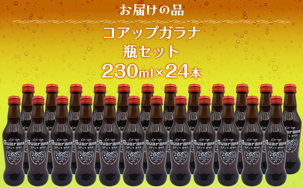 繧ウ繧「繝繝励ぎ繝ゥ繝24譛ャ繧サ繝繝茨シ230ml逑カシ NAQ004