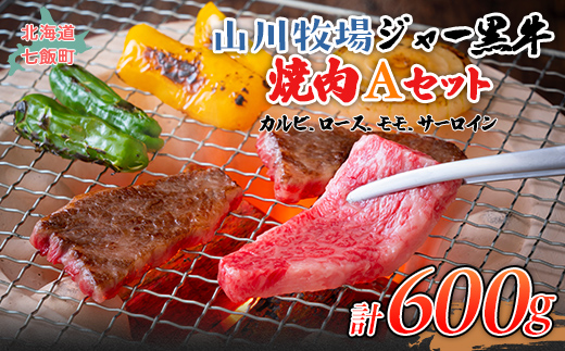 山川牧場ジャー黒焼き肉Aセット（カルビ、ロース、モモ、サーロイン各150g） NAN013