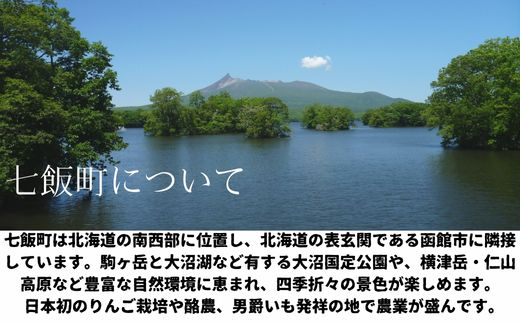 【令和7年発送先行予約】北海道七飯町産とうもろこし「ゴールドラッシュ」18本セット  NAZ012