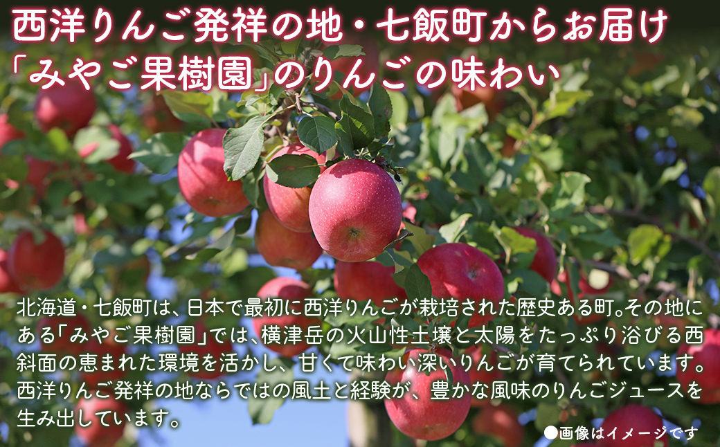 無添加 りんご果汁100% 1L×6本セット りんごジュース ストレート果汁 NAJ001