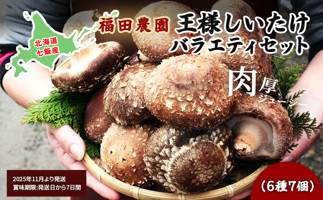 王様しいたけバラエティセット（6種7個） 福田農園 NAT003