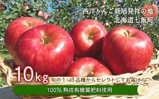 【先行予約】令和8年8月下旬頃より発送 北海道七飯町産 りんご 10kg 有機質肥料使用 NAR003