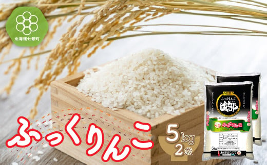 北海道七飯町産 ふっくりんこ 精米 計10kg（5kg×2袋） 特Aランク 白米 米農家応援 NAA003