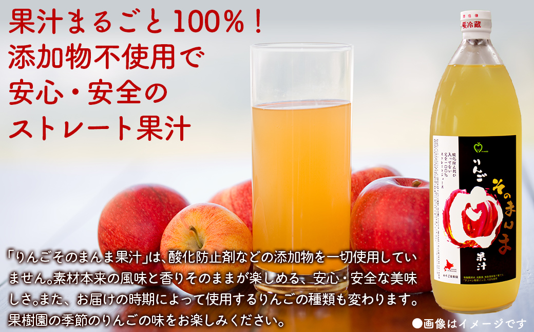 無添加 りんご果汁100% 1L×3本セット りんごジュース ストレート果汁 NAJ002