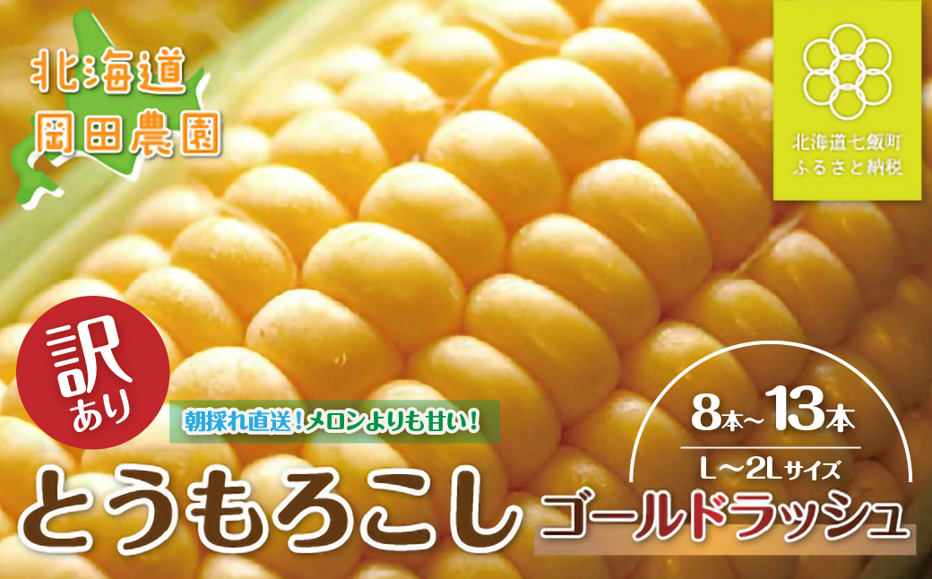 【先行予約】 訳あり 北海道七飯町産とうもろこし「朝採れゴールドラッシュ8〜13本」（L〜2L） NAZ028