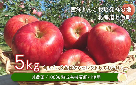 【先行予約】令和7年9月下旬頃発送　北海道七飯町産 りんご 5kg 有機質肥料使用 NAR002