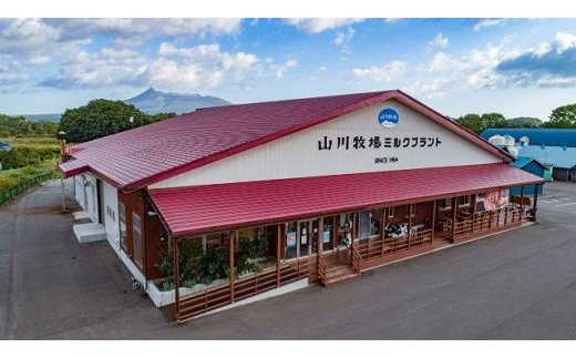 山川牧場育ちのジャー黒ハンバーグセット（計10個） お手軽おかず！ NAN003