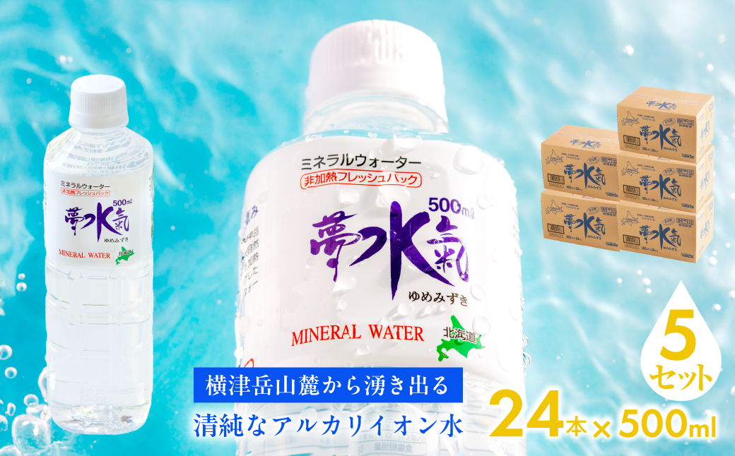 ミネラルウォーター夢水氣（500ml×24本）5セット 天然アルカリイオン水 軟水 NABI011