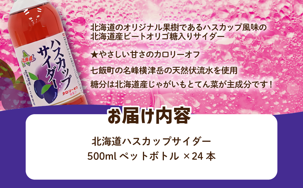 ハスカップサイダー24本（500mlペットボトル） NAQ009