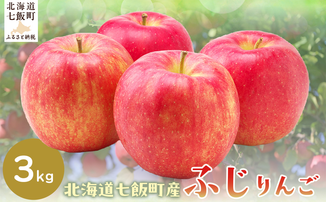 【2025年12月下旬以降発送】ふじ3kg NAJ005