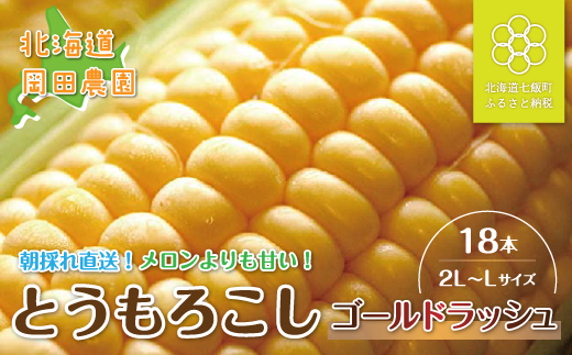 【令和7年発送先行予約】北海道七飯町産とうもろこし「ゴールドラッシュ」18本セット  NAZ012