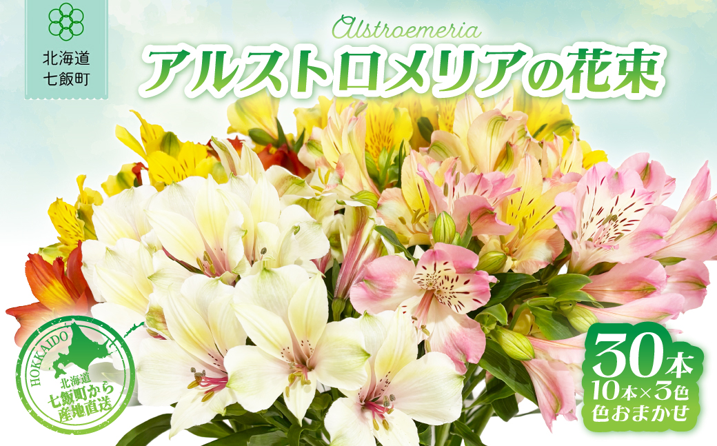 アルストロメリアの花束(30本) NABL001