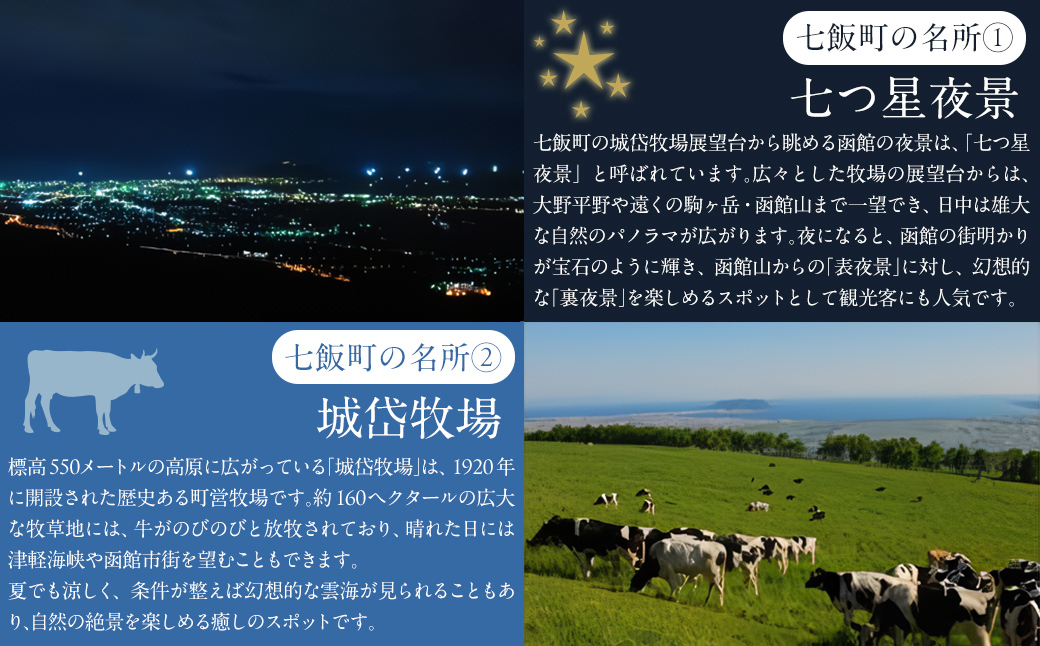 大沼ビール330ml スタウト10本入 麦芽の香ばしさが、コーヒーを思わせる黒ビール！ NAH006