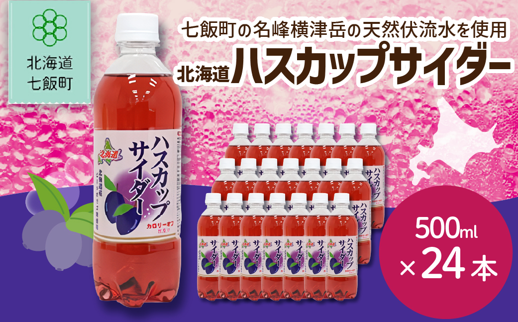 【先行予約】【2026年1月20日より順次発送】ハスカップサイダー24本（500mlペットボトル） NAQ009
