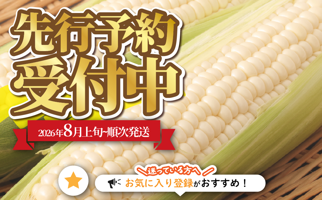 【先行予約】北海道七飯町産とうもろこし 「ホワイトショコラ」18本セット(令和8年8月上旬頃より順次発送) NABU006