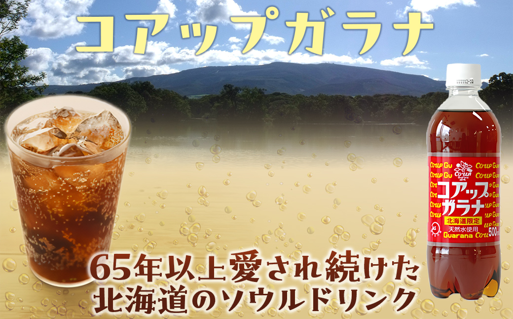 繧ウ繧「繝繝励ぎ繝ゥ繝24譛ャ繧サ繝繝茨シ500ml繝壹ャ繝医懊ヨ繝ォシ NAQ003