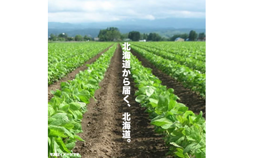 Jimo豆腐Soia　濃いうま生豆腐セット NAS001