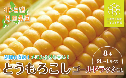 【令和7年発送先行予約】北海道七飯町産とうもろこし「ゴールドラッシュ」8本セット  NAZ013