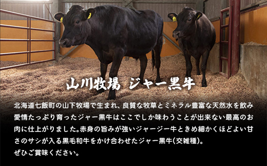 山川牧場ジャー黒焼き肉Cセット（カルビ150ｇ×3、ロース150ｇ×3、モモ150ｇ×3、サーロイン150g） NAN015