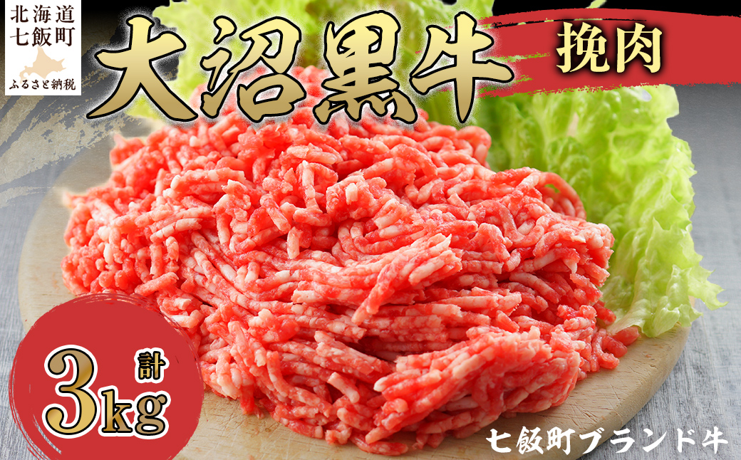 大沼黒牛挽肉　3kg 【ふるさと納税 人気 おすすめ ランキング 北海道ブランド牛 大沼黒牛 黒毛和牛 冷凍 挽肉 ハンバーグ おいしい 北海道 七飯町】 NAM011