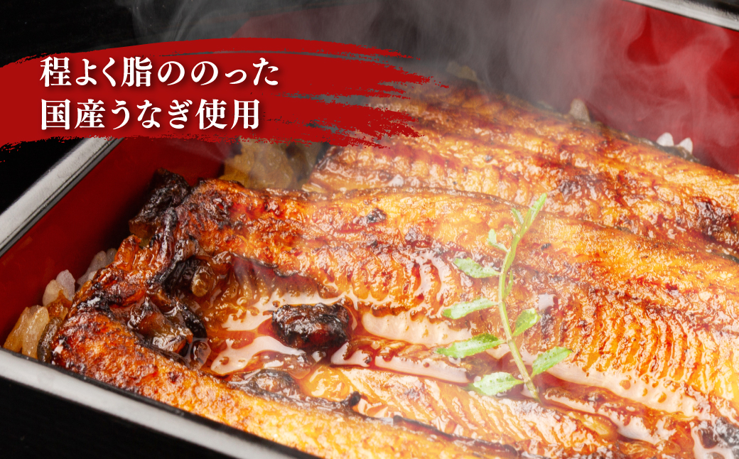 国産うなぎ蒲焼×3箱セット(60g×9） NAAF002 