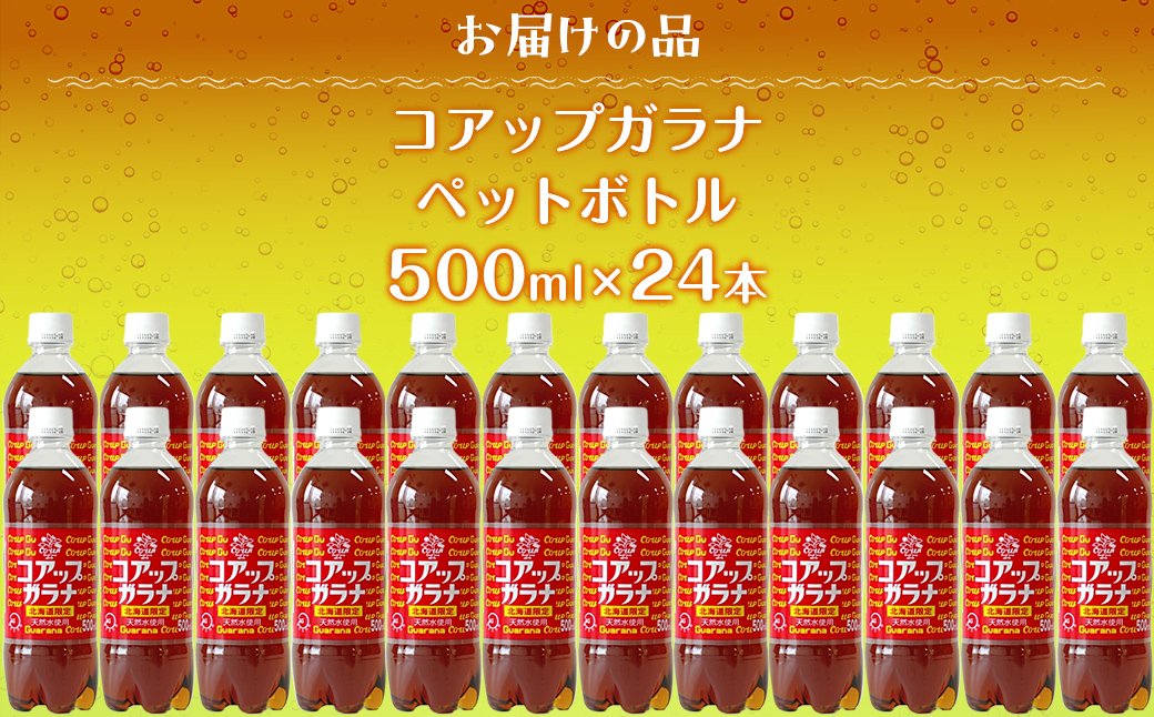 繧ウ繧「繝繝励ぎ繝ゥ繝24譛ャ繧サ繝繝茨シ500ml繝壹ャ繝医懊ヨ繝ォシ NAQ003