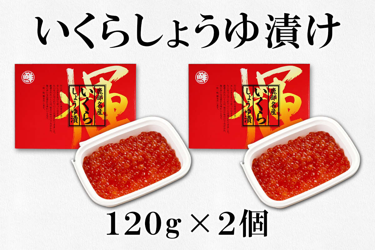 北海道産いくら240g 玲瓏たらこ240g 丸鮮道場水産 小分け 食べ切り 食べきり しょうゆ漬け