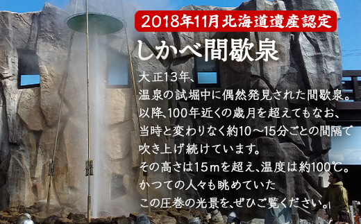 【1名様分】道の駅しかべ間歇泉公園 入園券 チケット 観光 スポット