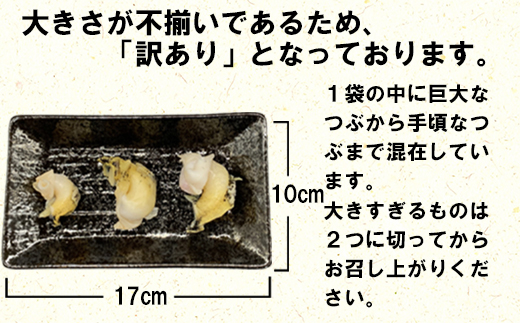 【緊急支援品】北海道鹿部町産 前浜ボイルつぶ１kg（500g×2袋） 刺身 不揃い事業者支援 漁師さん支援 中国禁輸措置 つぶツブ ツブ貝 つぶ貝 つぶツブ ツブ貝 つぶ貝 つぶツブ ツブ貝 つぶ貝 つぶツブ ツブ貝 つぶ貝 つぶツブ ツブ貝 つぶ貝 つぶツブ ツブ貝 つぶ貝 つぶツブ ツブ貝 つぶ貝 つぶツブ ツブ貝 つぶ貝 つぶツブ ツブ貝 つぶ貝 つぶツブ ツブ貝 つぶ貝 つぶツブ ツブ貝 つぶ貝 つぶツブ ツブ貝 つぶ貝 つぶツブ ツブ貝 つぶ貝 つぶツブ ツブ貝 つぶ貝 つぶツブ ツブ貝 つぶ貝