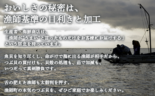 【先行予約】北海道鹿部町産 前浜ボイルつぶ１kg（500g×2袋） 刺身 不揃い つぶ ツブ ツブ貝 つぶ貝