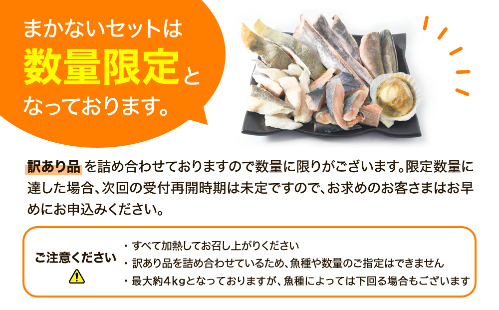 【2024年12月下旬発送】【緊急支援品】わけあり 北海道のおさかな屋さんの まかないセット 冷凍魚貝 最大4kg 事業者支援 中国禁輸措置  魚 魚介 訳あり