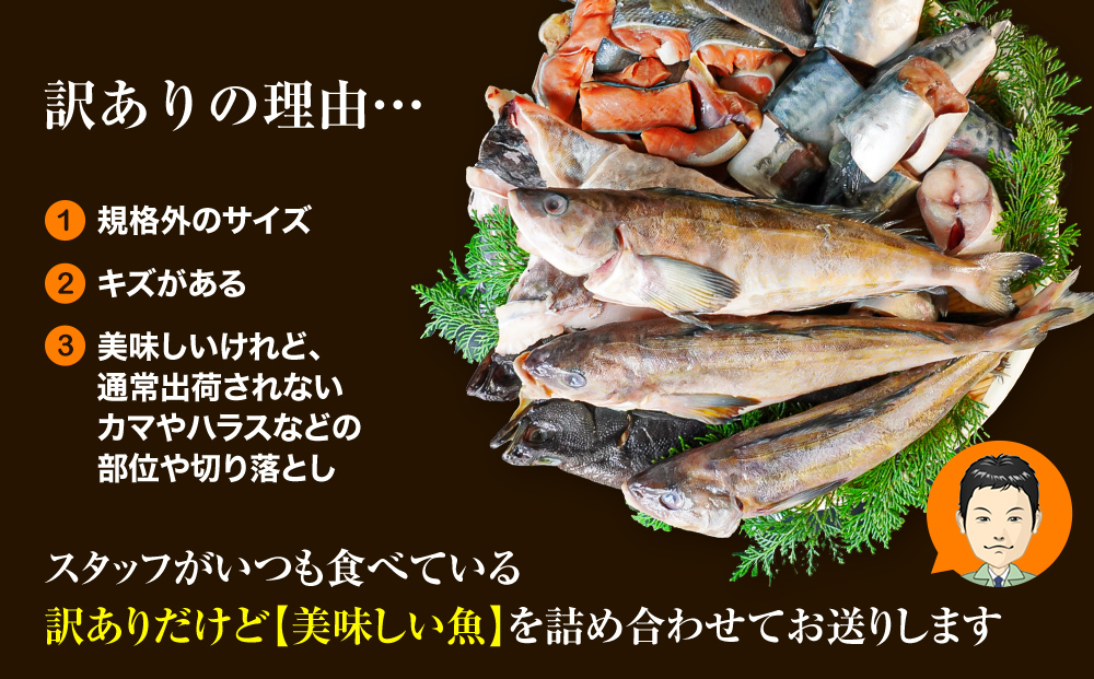 【2024年12月下旬発送】【緊急支援品】わけあり 北海道のおさかな屋さんの まかないセット 冷凍魚貝 最大4kg 事業者支援 中国禁輸措置