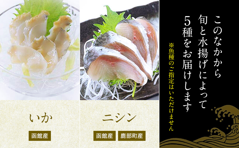 ã2026幎8æäžæ¬çºéãåæµ·éç£ æ¬ã®ãåºèº«ïŒ5çš®ïŒçãåããã»ãã çŽ500g çŽ4ïœ5äººå æµ·é®® å·å ã»ã㊠ããããŸã ã»ã£ã ãã ãã ã«ãã ã€ã¶è² ç