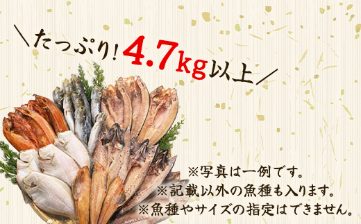 【2025年2月下旬発送】訳あり 干物・切身 セット 4.7kg以上 規格外 傷 不揃い