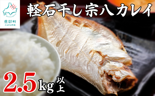 【北海道産】訳あり 軽石を使った干物 北海道産カレイ 合計2.5kg以上 不揃い 傷 冷凍 