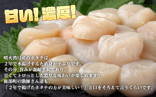 【北海道産】ホタテ貝柱 900g （300g×3袋）刺身 生食用 小分け カルパッチョ バター焼き