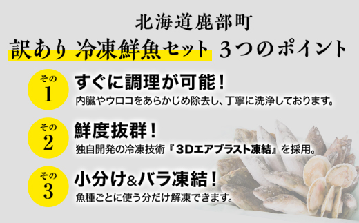 【2025年2月下旬発送】北海道産 冷凍鮮魚セット 最大3.2kg 「漁師応援プロジェクト！」 下処理済み 冷凍 鮮魚 海鮮 海産 地元