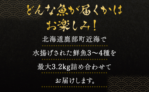 【2025年2月下旬発送】北海道産 冷凍鮮魚セット 最大3.2kg 「漁師応援プロジェクト！」 下処理済み 冷凍 鮮魚 海鮮 海産 地元