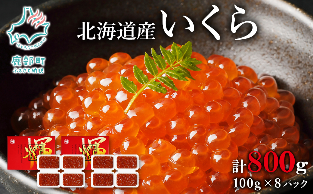 【小分けで便利！】北海道産いくら800g（100g×8）しょうゆ漬け 丸鮮道場水産 食べ切り いくら丼 手巻き寿司 小分け いくら イクラ 醤油いくら 