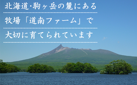 【定期便】北海道産 牛モモ肉ブロック500g 全3回 毎月お届け 北海道産 肉 赤身肉 鹿部牛