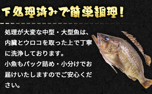 【定期便】 冷凍鮮魚セット 2.8～3.2kg 年4回お届けコース【漁師応援プロジェクト】