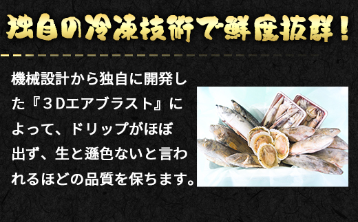 【定期便】 冷凍鮮魚セット 2.8～3.2kg 年4回お届けコース【漁師応援プロジェクト】