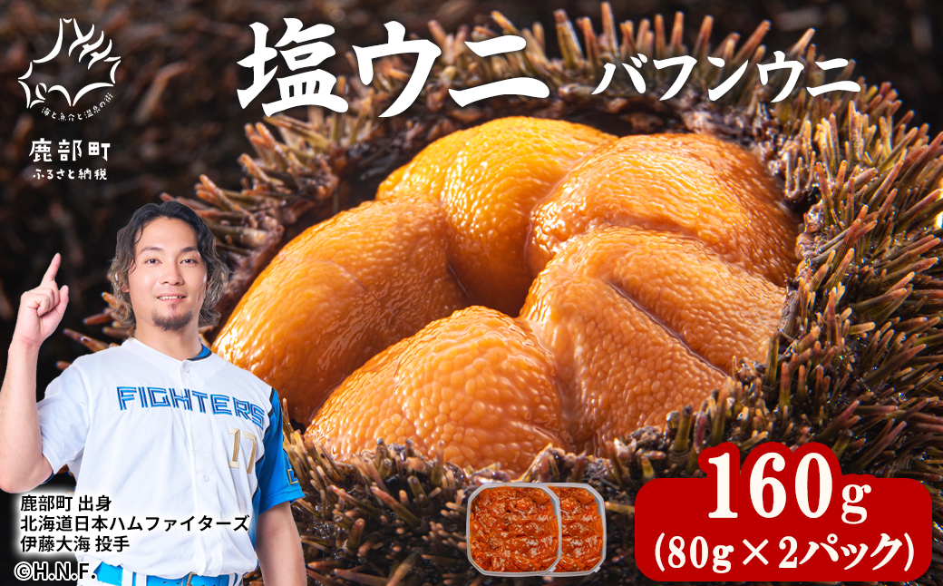 塩うに 160g (80g×2) バフンウニ ミョウバン不使用