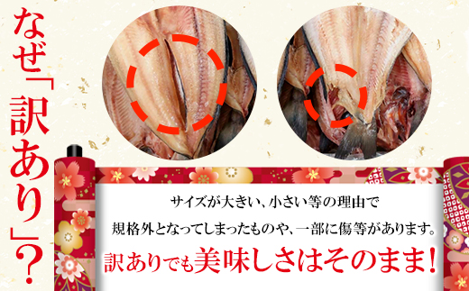 【2026年6月下旬発送】 訳あり 干物 詰め合わせセット 2.2kg 真ホッケ 縞ホッケ サバ イワシ